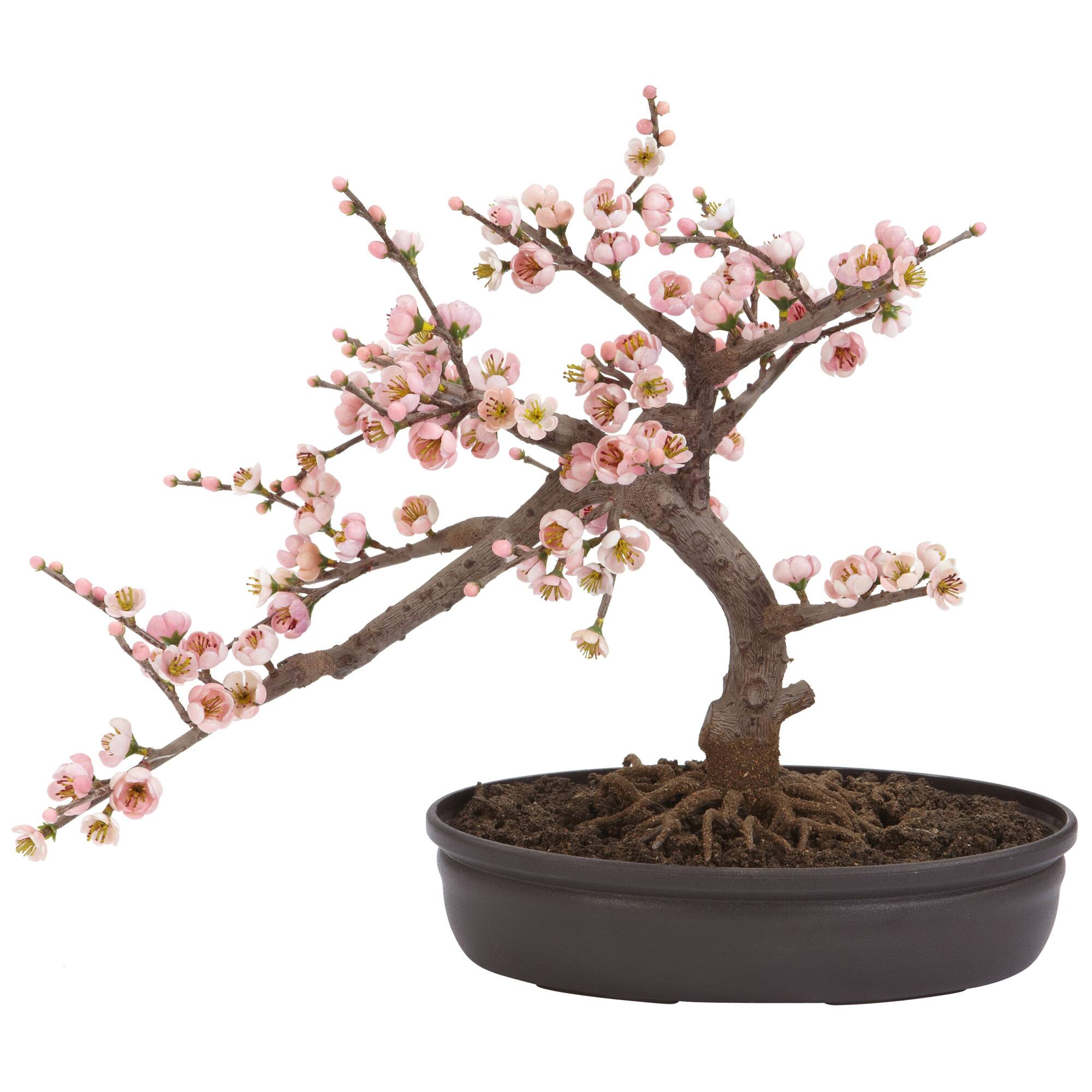 15" Potted Cherry Blossom Bonsai Silk Tree